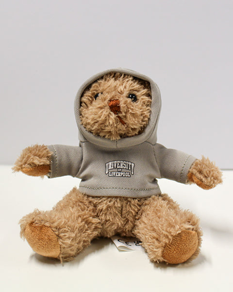 Teddy (Small Hoodie)