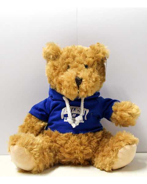 Teddy (Large Hoodie)