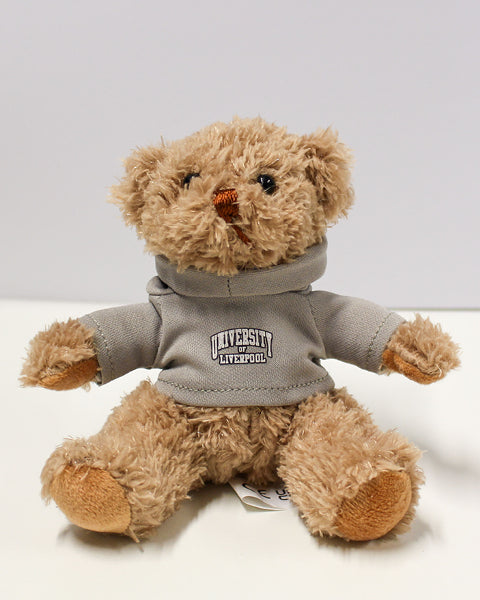 Teddy (Small Hoodie)