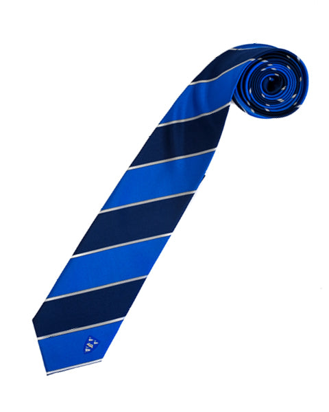 University of Liverpool striped tie