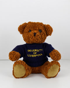 University of Liverpool Bruno Bear